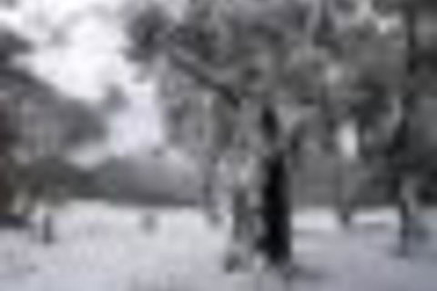 Twin Seasons 5 Deluxe Holiday Apartment - Taree Accommodation 4