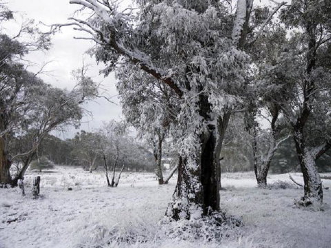 Alpha Centauri 8 Budget Jindabyne Holiday Apartment - Taree Accommodation 3