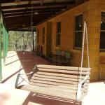 Back To The Bush - Taree Accommodation 0