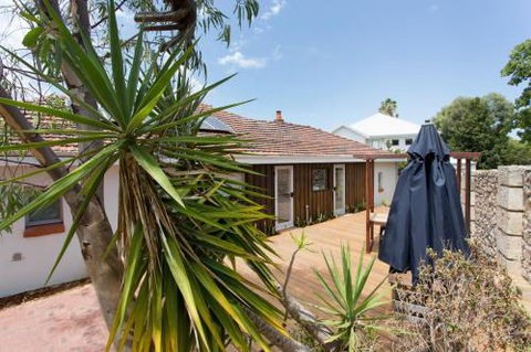 Dingo At White Gum Lodge - Taree Accommodation 5