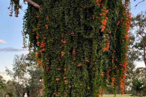 Amarina Farm Stay & Gardens - Taree Accommodation 6