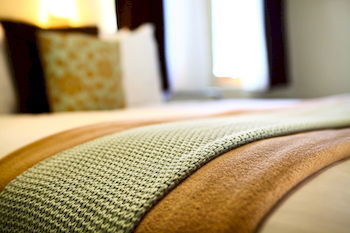 Peppers Rundells Alpine Lodge - Taree Accommodation 1