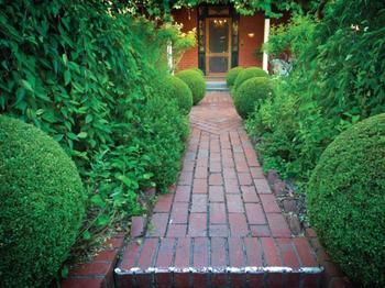 La Pausa - Taree Accommodation 5