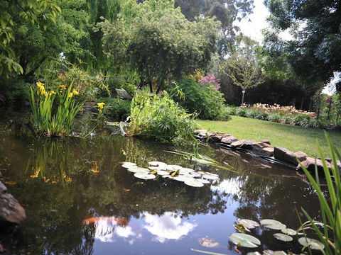 Stableford House Bed & Breakfast - Taree Accommodation 1
