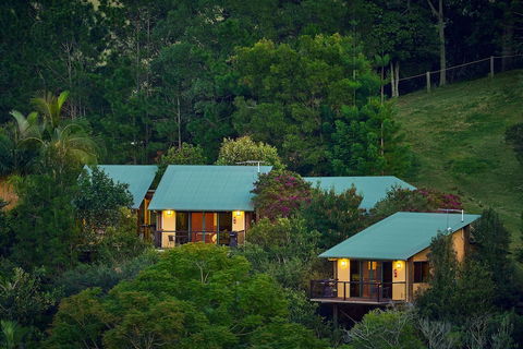 Dayboro Cottages & Llama Walks - Taree Accommodation 3
