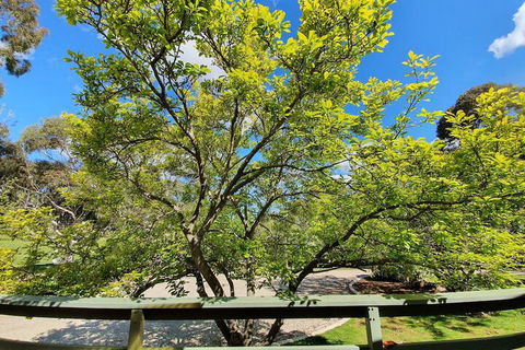 Annies Holiday Units - Taree Accommodation 2