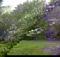 Petersons Armidale Winery  Guesthouse - Taree Accommodation