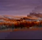 Wombat Hills Cottages - Taree Accommodation