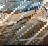 Platinum Suites Fremantle - Taree Accommodation