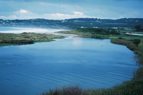 Apollo Bay Guest House - Taree Accommodation 3