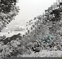 Alpenhorn - Taree Accommodation