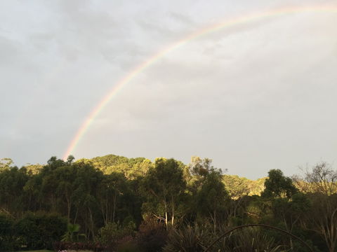 Anderida - Taree Accommodation 0