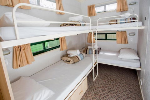 BIG4 Bendigo Park Lane Holiday Park - Taree Accommodation 5
