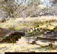 Wrens View - Taree Accommodation