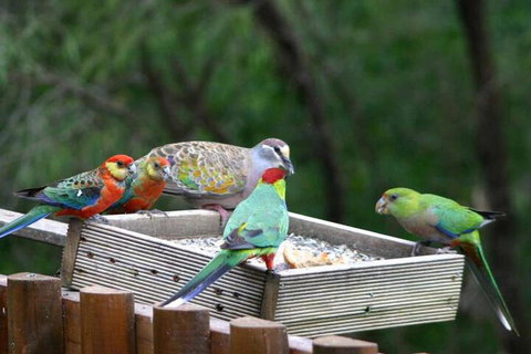 Honeymoon View - Taree Accommodation 5