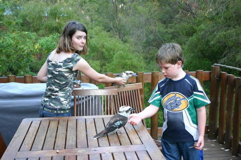 Honeymoon View - Taree Accommodation 2