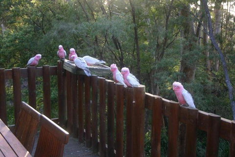 Honeymoon View - Taree Accommodation 3