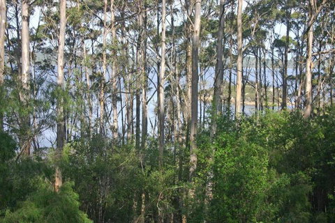 Honeymoon View - Taree Accommodation 7