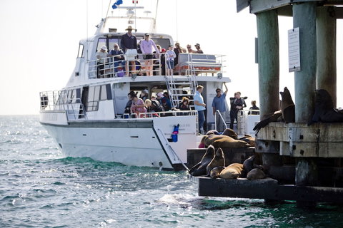 Portsea Village Resort - Taree Accommodation 6