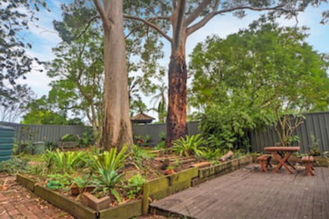 The Pines Bed & Breakfast - Taree Accommodation 0