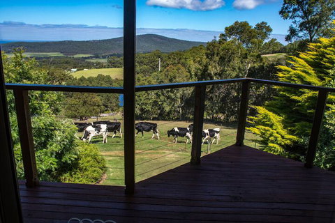 Celestine Retreat - Taree Accommodation 3