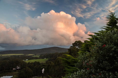 Celestine Retreat - Taree Accommodation 7