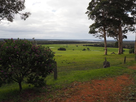 Augusta Sheoak Chalets - Taree Accommodation 5