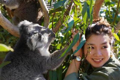 Fauna Australia Wildlife Retreat - Taree Accommodation 2