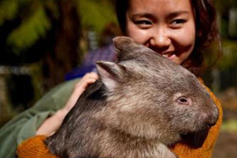 Fauna Australia Wildlife Retreat - Taree Accommodation 0