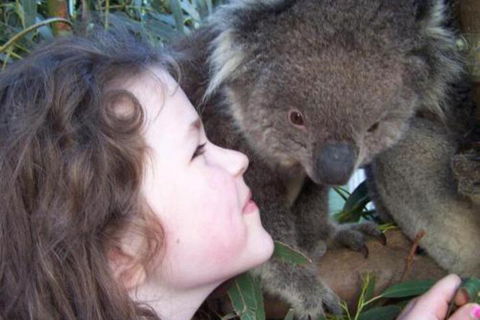 Fauna Australia Wildlife Retreat - Taree Accommodation 3