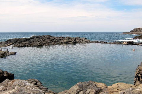 Kiama Harbour Cabins - Taree Accommodation 4