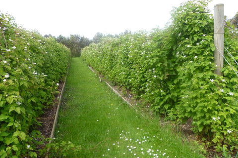 Karingal Homestead B & B - Taree Accommodation 4