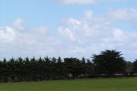 Karingal Homestead B & B - Taree Accommodation 5