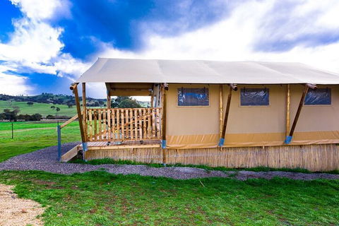 Hillview Farmstay - Taree Accommodation 3