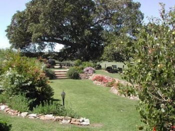 Maddies Of Bolwarra - Taree Accommodation 0
