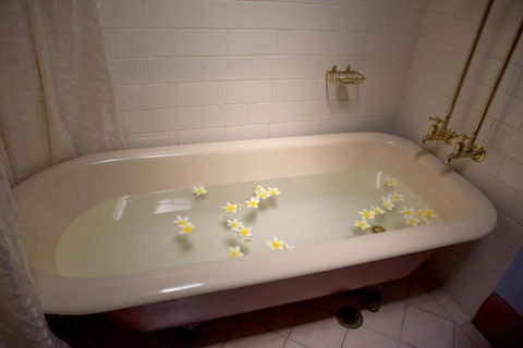 Maddies Of Bolwarra - Taree Accommodation 2