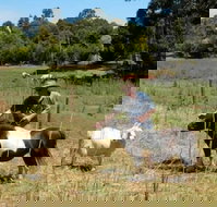 Country Cottages of Bridgetown - Taree Accommodation