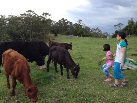 Bellview - Taree Accommodation 1