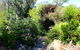 Astley Cottage - thumb 4