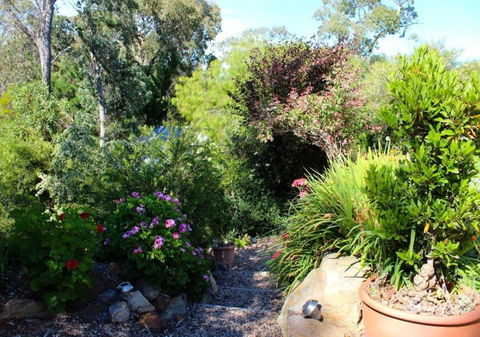 Astley Cottage - Taree Accommodation 4