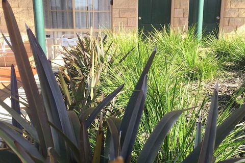 Mulwala Paradise Palms Motel - Taree Accommodation 3