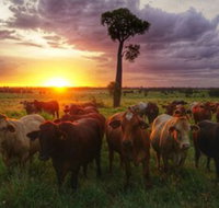 Myella Farm Stay - Taree Accommodation