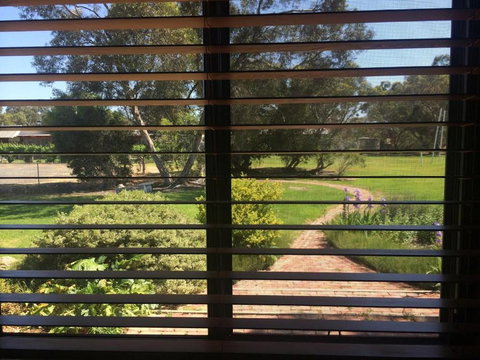 Willalooka Tavern - Taree Accommodation 2