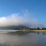 At The Beach & Not Quite At The Beach Holiday Cottages Stanley - Taree Accommodation 0