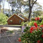 Dalmeny NSW Taree Accommodation