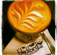 Blackbird Cafe - Taree Accommodation