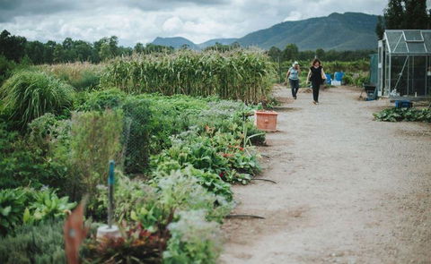 Margan Restaurant - Taree Accommodation 6