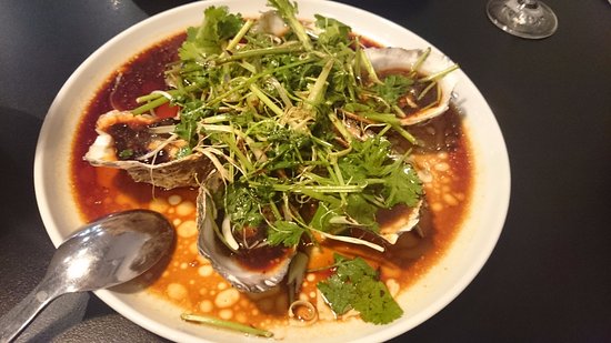 Adelaide City SA Taree Accommodation