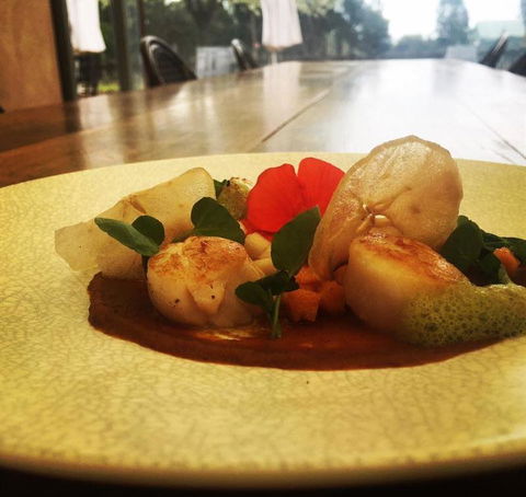 Au Pear - Taree Accommodation 8