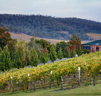 De Bortoli Winery  Restaurant - Taree Accommodation